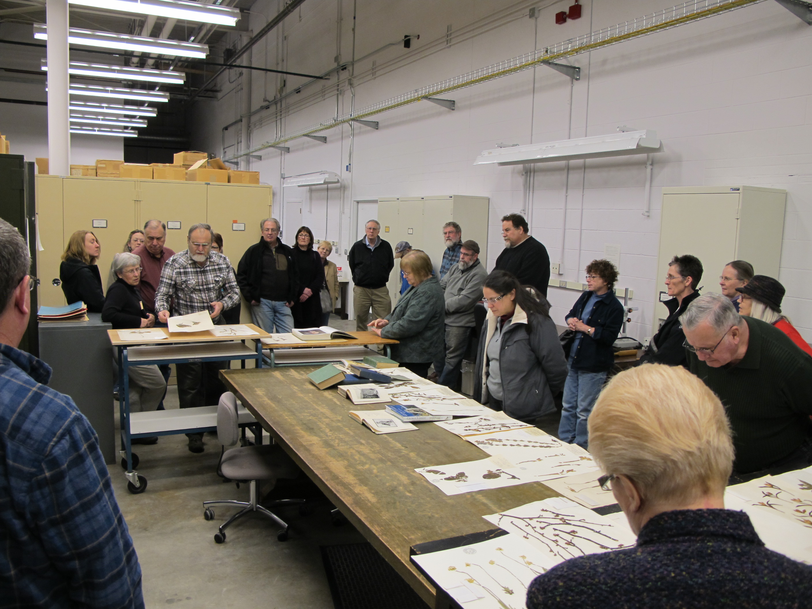 Rimmer-Herbarium-IMG_9293.jpg